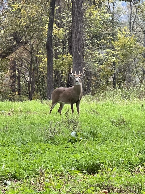 Hidden Creek Farm - conservation