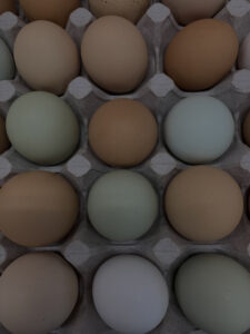 Hidden Creek Farm - CSA Heritage Eggs For Sale