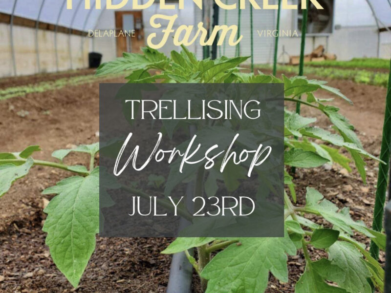 All About Trellising Workshop