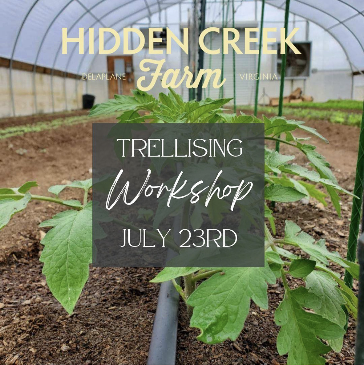 All About Trellising Workshop
