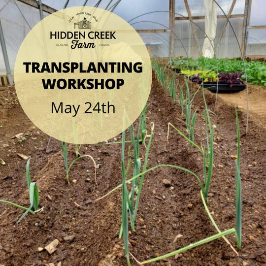 Transplanting Workshop