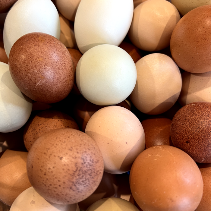 Heritage Eggs